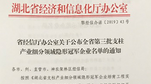 HTH.COM-华体会（中国）
被认定为“湖北省支柱产业细分领域隐形冠军示范企业”